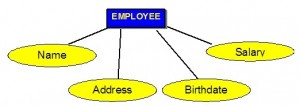 Figure 8.2. How attributes are represented in an ERD.