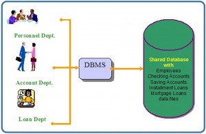 Figure 2.3. A bank database management system (DBMS).