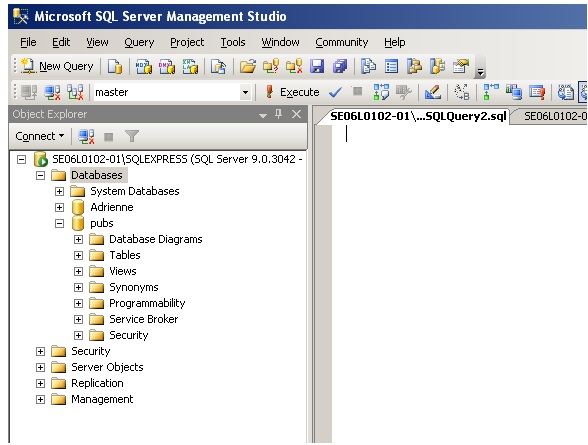 Figure 15.1. Example of Microsoft SQL Server, by A. Watt.
