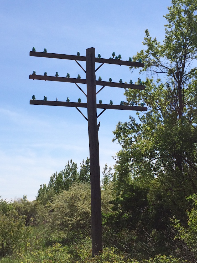 Long-Distance Telephone Poles