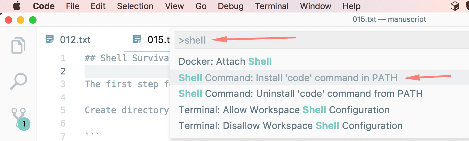 Integrating VsCode with shell