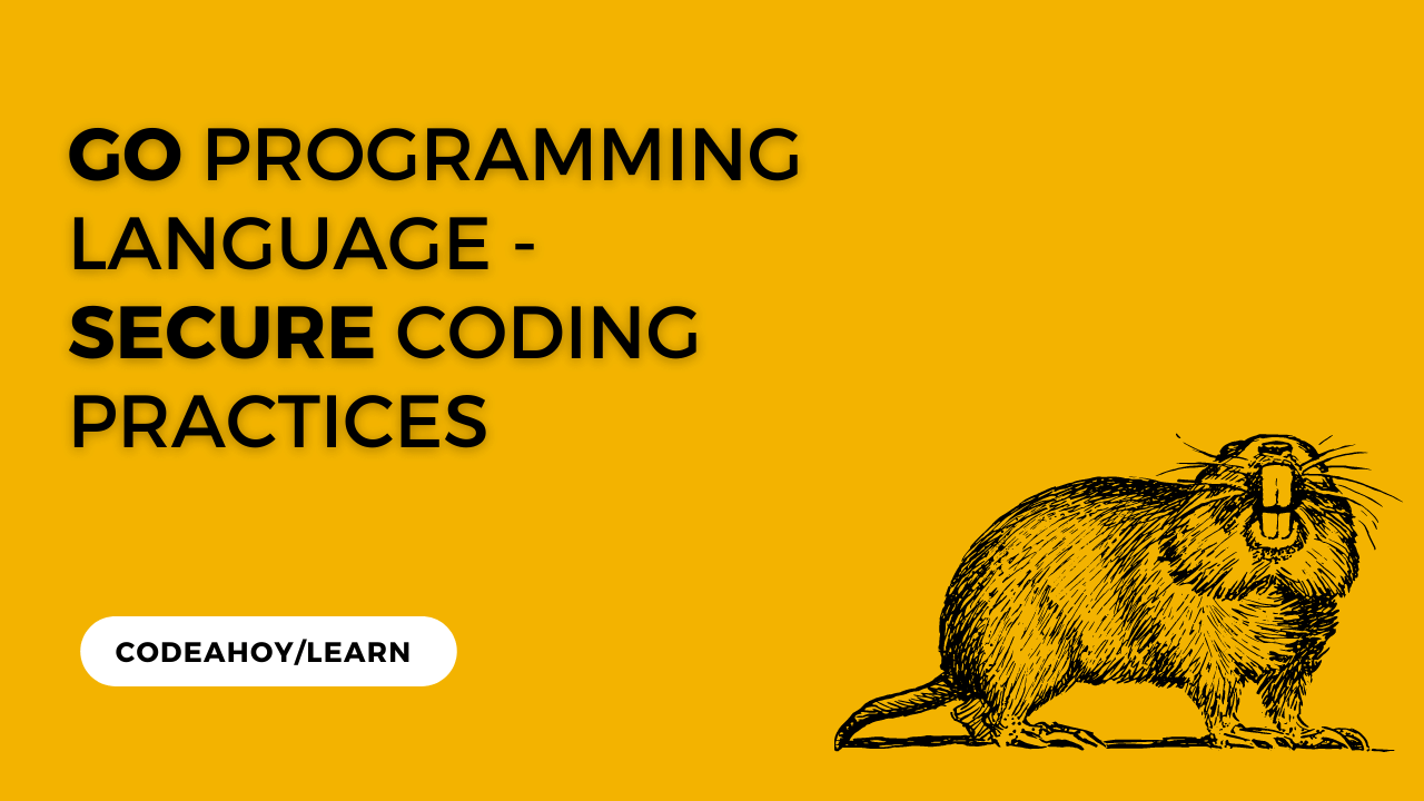 Go Programming Language - Secure Coding Practices (OWASP)