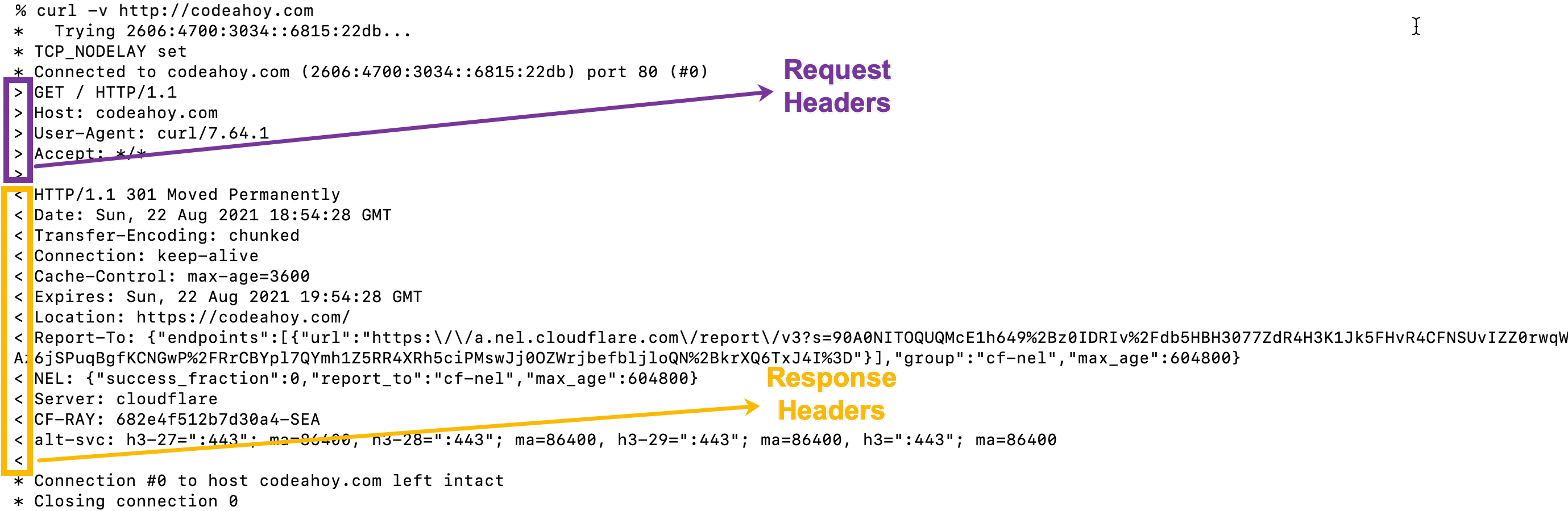 curl output showing request and repsonse headers