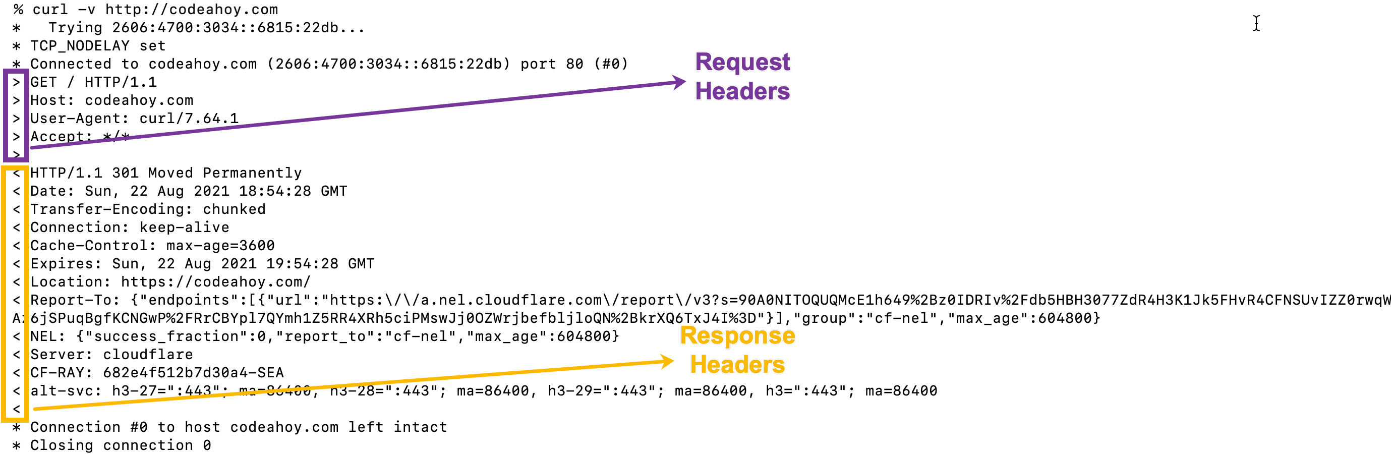 php curl response headers